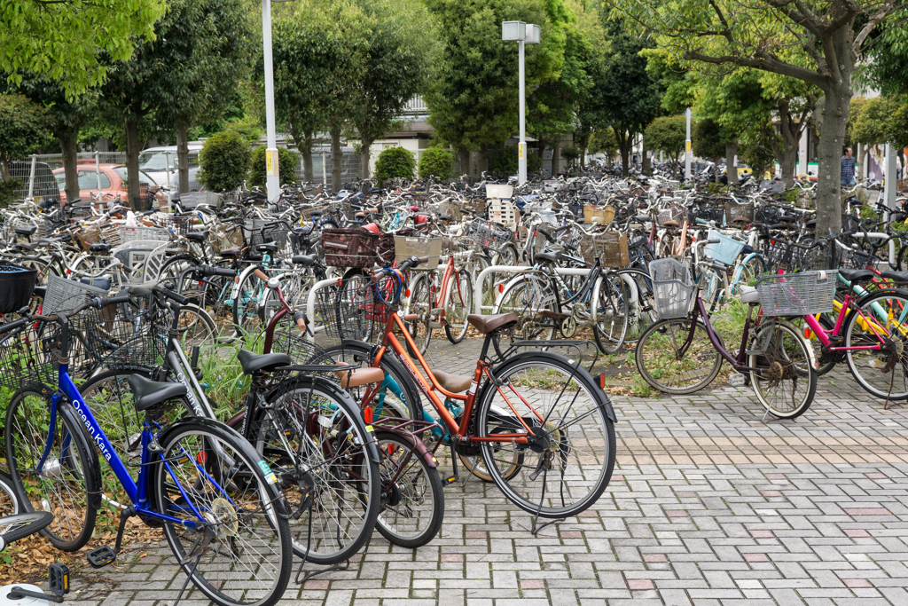 横浜市金沢区・スナップ写真