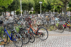 横浜市金沢区・スナップ写真