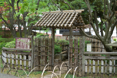 横浜公園