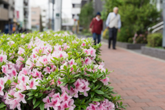 横浜市金沢区・スナップ写真