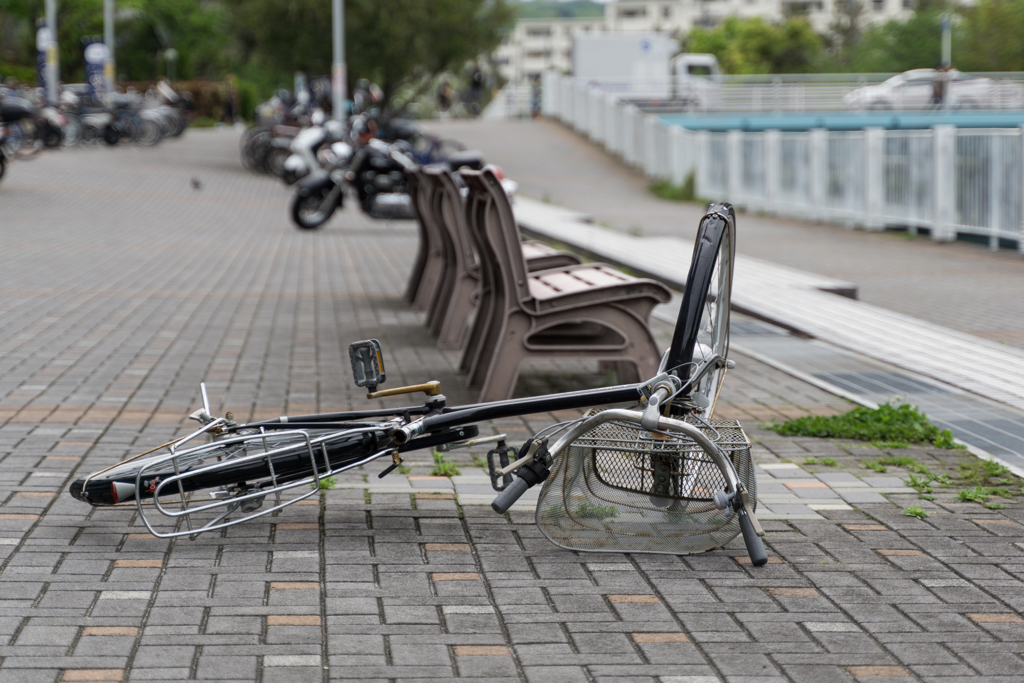 横浜市金沢区・スナップ写真