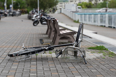 横浜市金沢区・スナップ写真