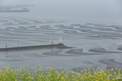 雨模様