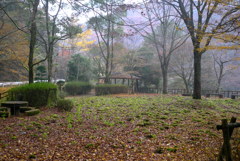 紅葉2016