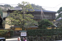 城崎