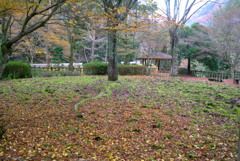 紅葉2016