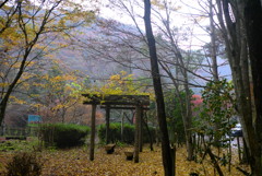 紅葉2016