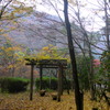 紅葉2016