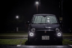 霧雨の中