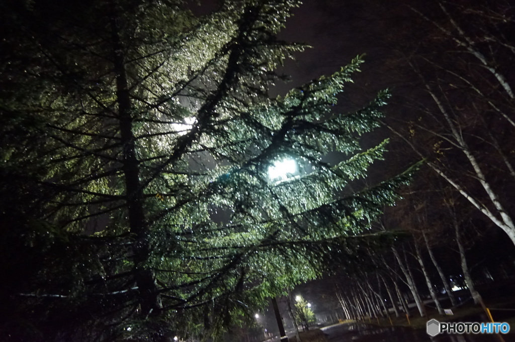 雨に濡れて