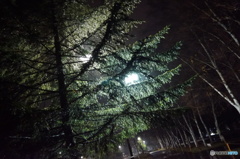 雨に濡れて
