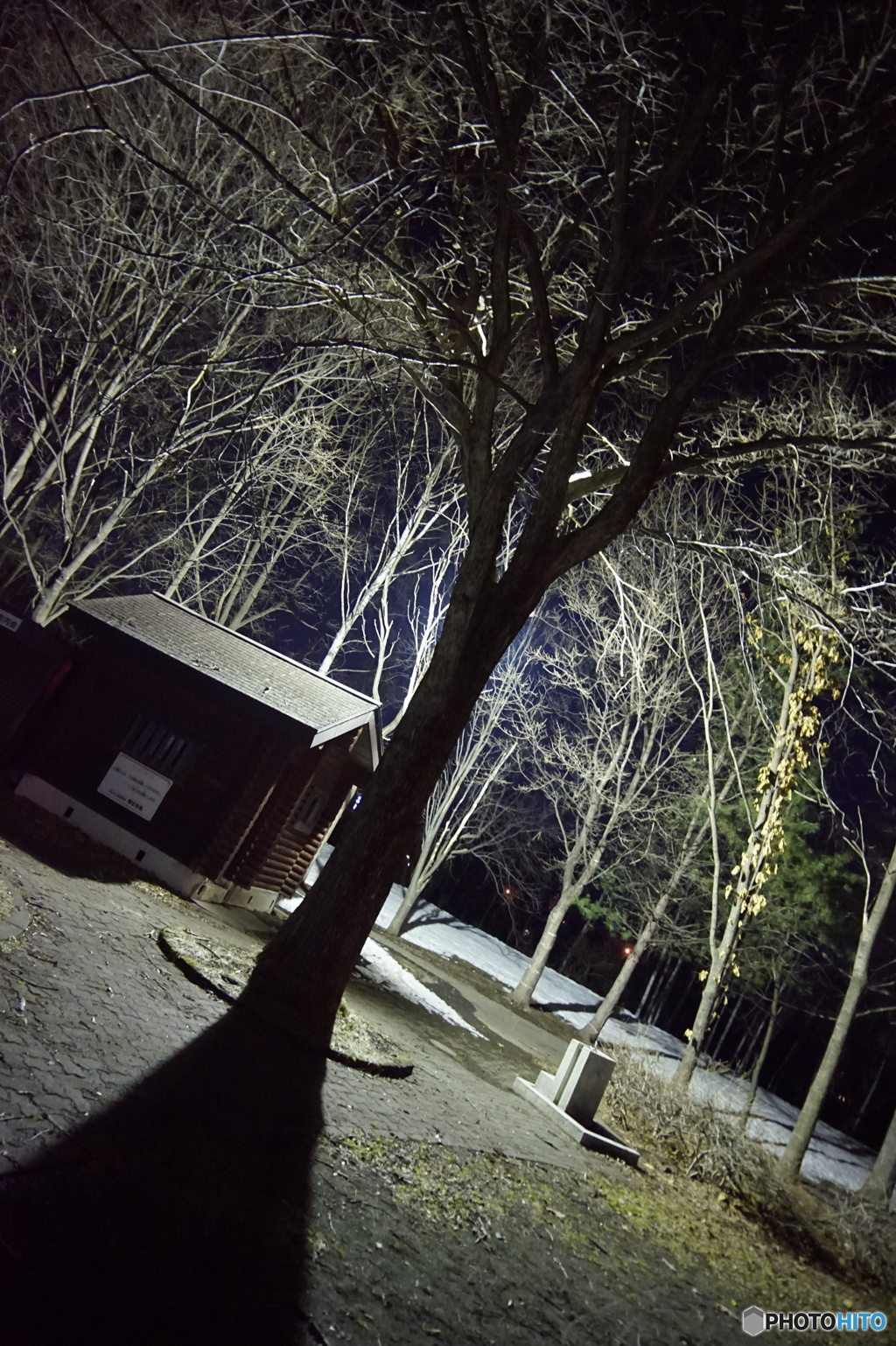 公園の主
