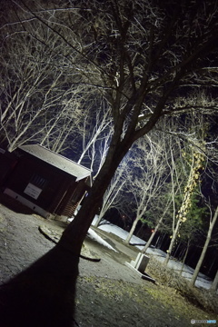 公園の主