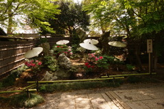 庭園