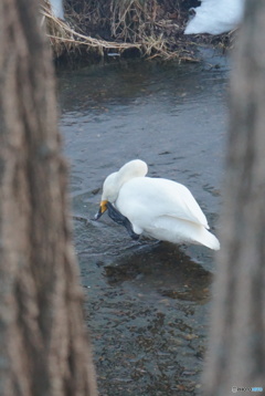 覗き見