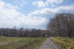 長閑