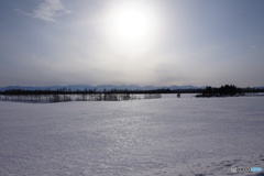 雪原を陽の光が照らす
