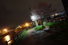 夜のせせらぎをききなから