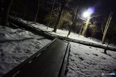 林間道