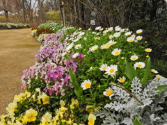 花の咲く小路