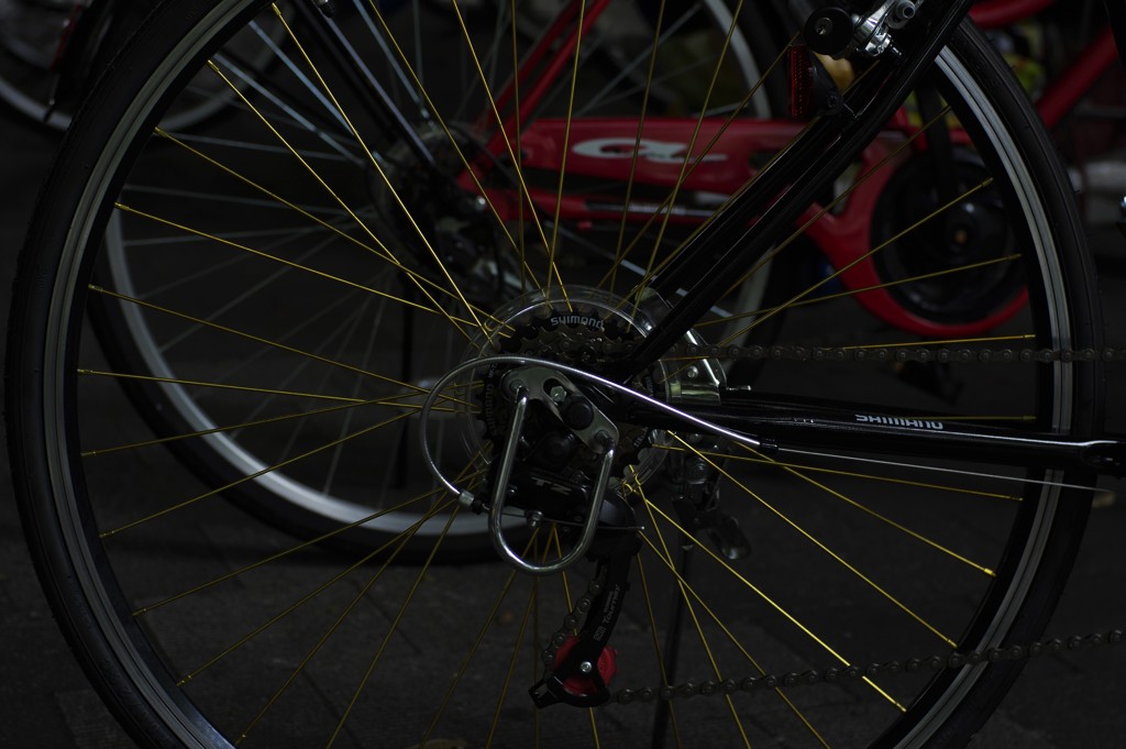 誰かさんの自転車
