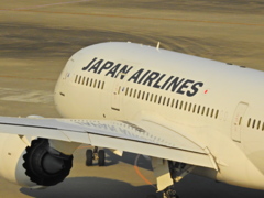 飛行機