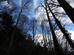 高尾山