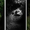Automatic Image Colorization