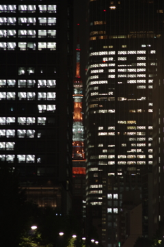ビルの谷間の東京タワー＠135mm