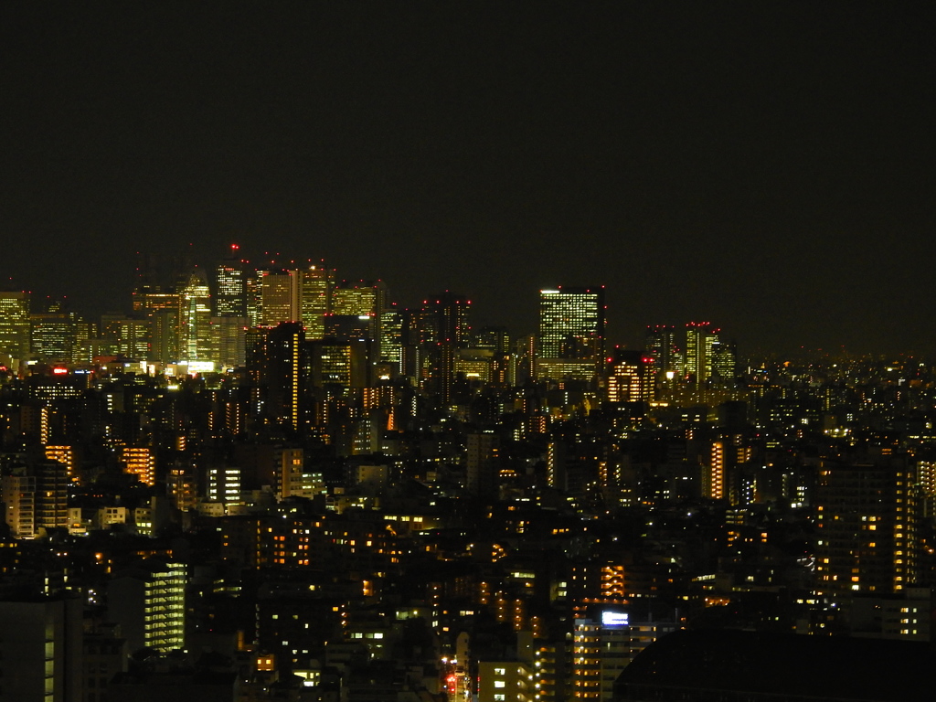 新宿高層ビル群遠景 By Yamanecco Id 写真共有サイト Photohito