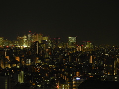 新宿高層ビル群遠景