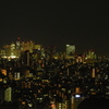 新宿高層ビル群遠景