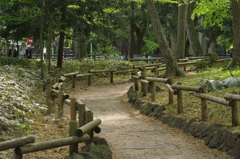 公園の散歩道