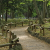 公園の散歩道
