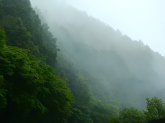 霧ののぼる山肌