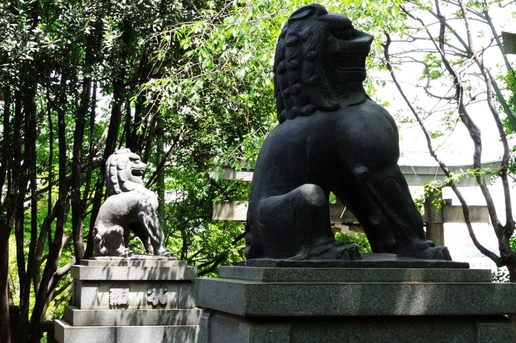 光と影