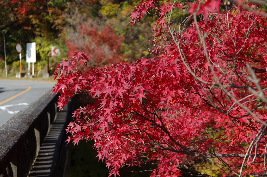 長潭橋　その4