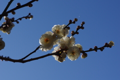 朝日を浴びて