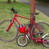自転車の親子