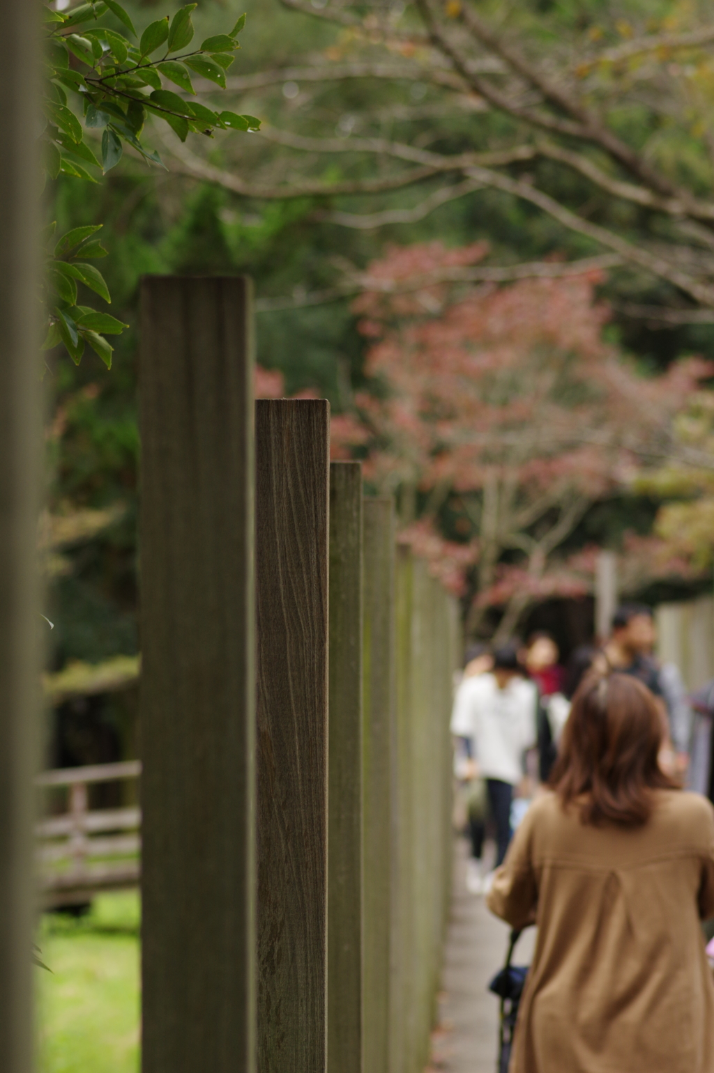 橋の向こうには紅葉