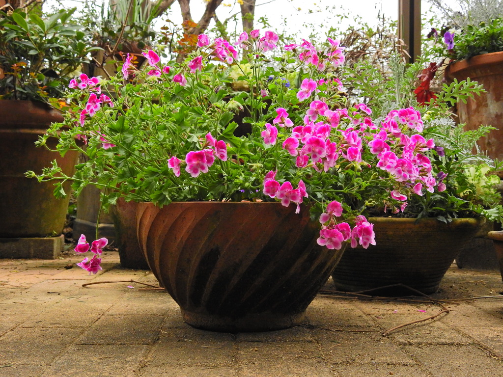 花