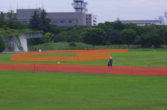 芝生の養生