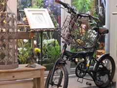 過去への旅へといざなう自転車