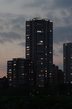 池之端の高層マンション