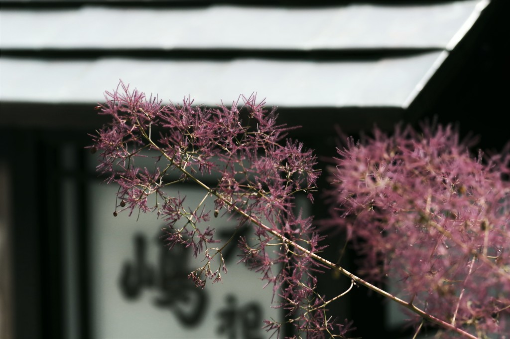 線香花火