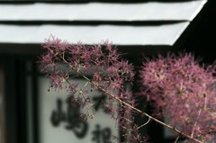 線香花火