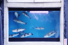 街の中の海