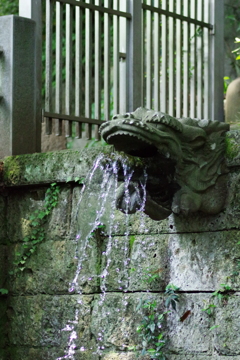 でろでろ～
