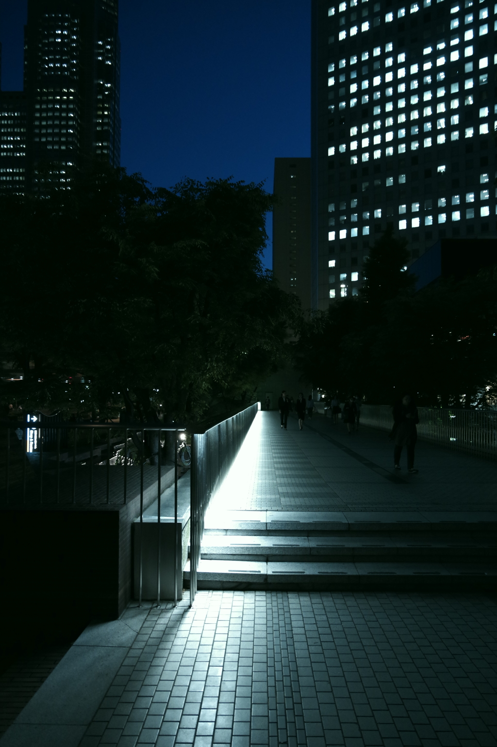 光の歩道