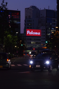 Paloma!